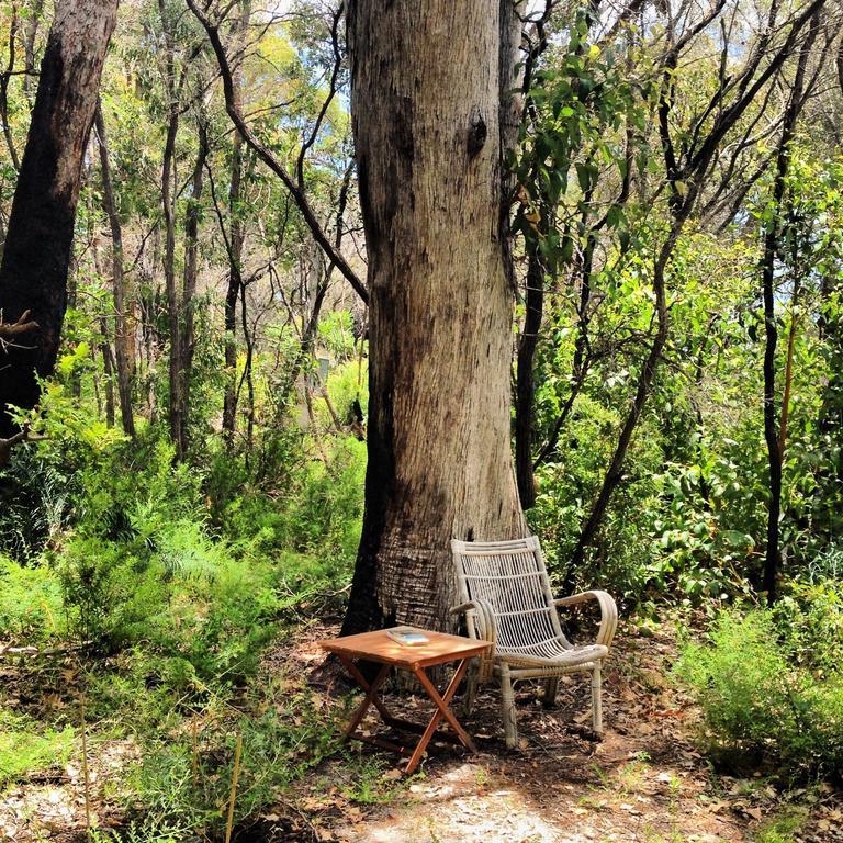 مبيت وإفطار Margaret River Wilderness House الغرفة الصورة